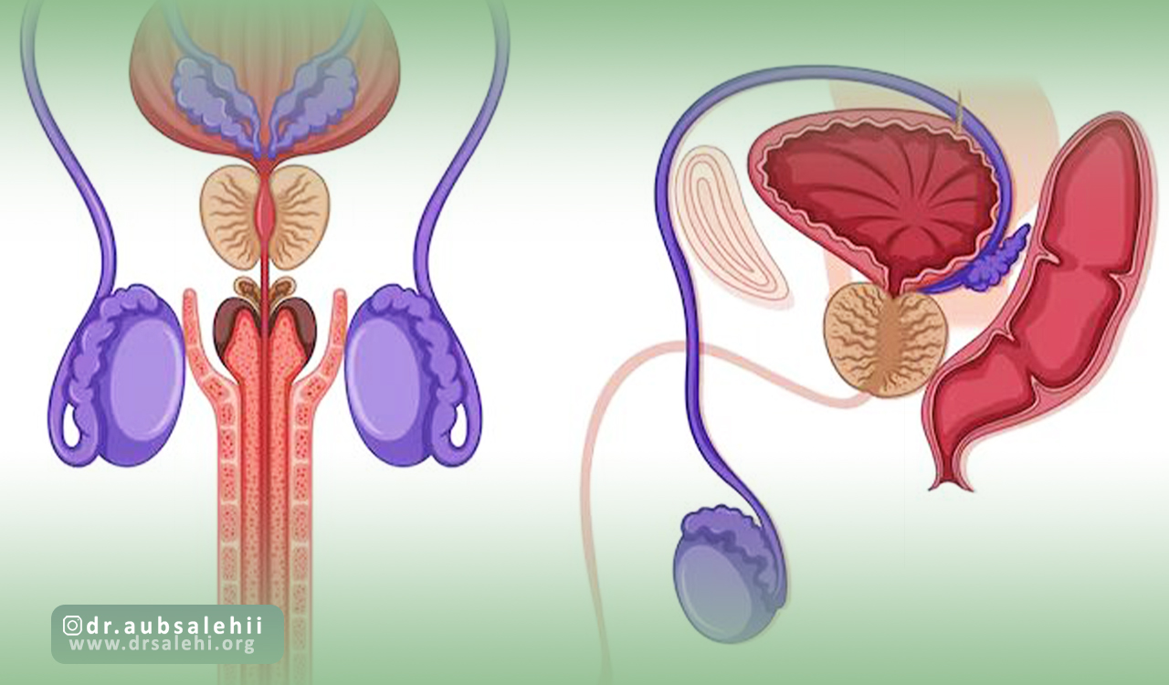بزرگی پروستات چیست؟